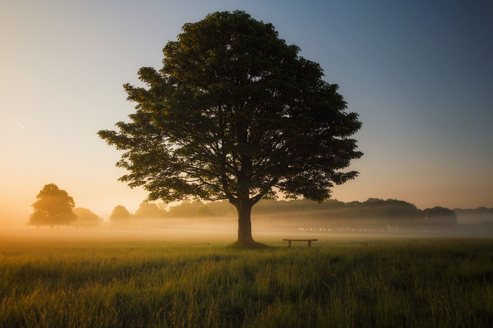 Rest in Paradise: Condolence messages to send to your loved one